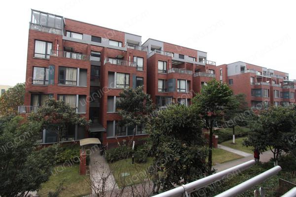 万科白马花园(南区),满五年唯一,黄金楼层,配套完善