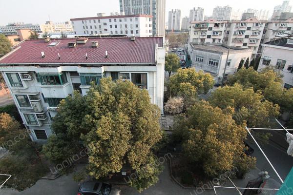 洪东新苑,享受好房,上门实拍,交通便利