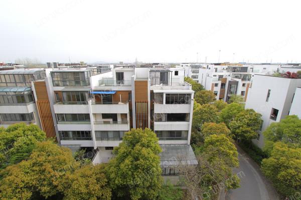 仁恒运杰河滨花园(二期) 精装复试楼 拎包入住
