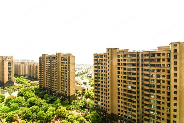 小石城6区香樟园,正规成熟小区,钥匙在手,上门实勘