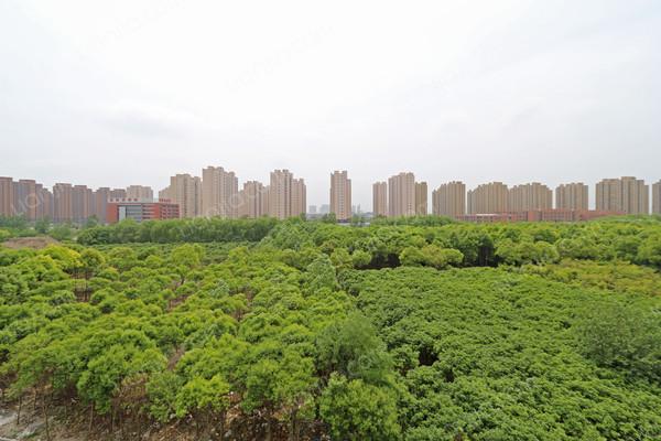 地铁房,正规成熟小区,实地看房 _大华朗香花园二手房推荐-链家网苏州