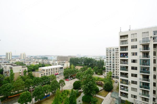 都汇华庭,上门实拍,一链倾城,一室小户型