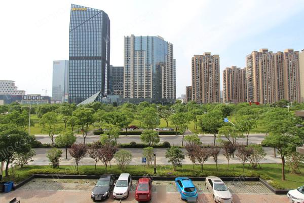 卓越世纪中心(奉贤),人气房源,上门实勘,精致户型