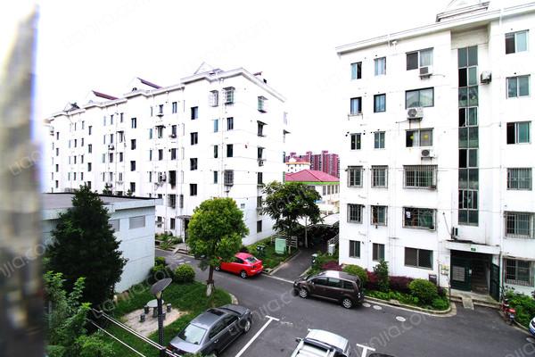 杨园二村,上门实拍,精致户型,观望后悔莫及