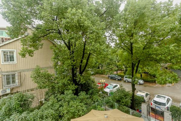 康虹花园(公寓),高清照片,放心好房,2室2厅1卫