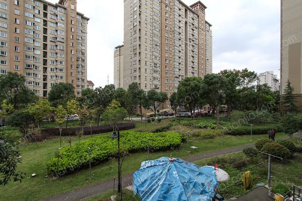 虹梅新苑,正规成熟小区,享受好房,房型正气