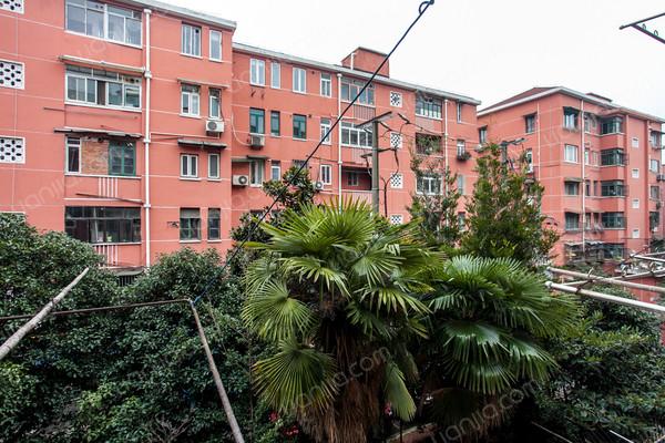 田林三村,经典好房,放心好房,1室1厅1卫