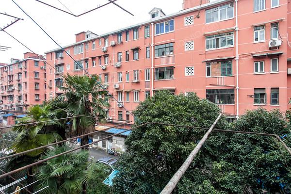 田林三村,经典好房,放心好房,1室1厅1卫