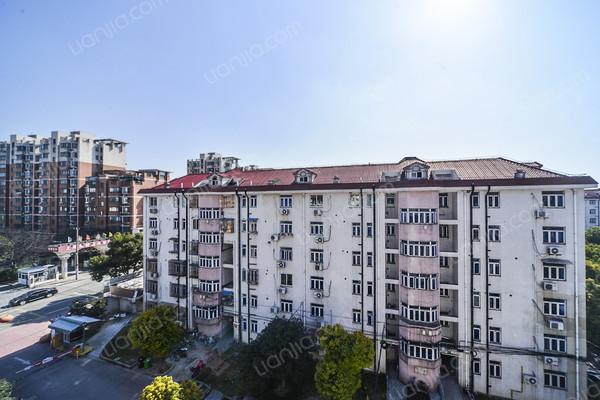 龙柏一村,高区采光好,温馨一室,满五年少税