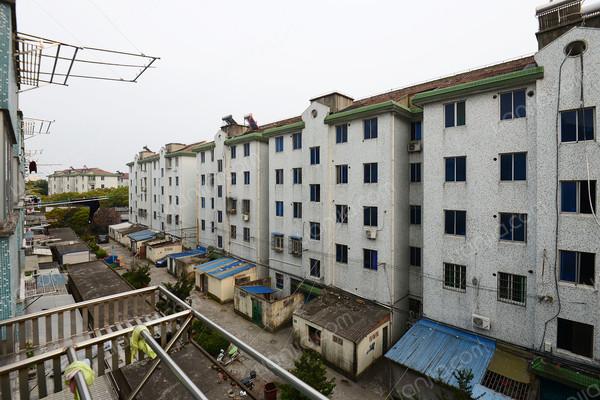 紫苑小区,空气清新,带装修,受欢迎好房