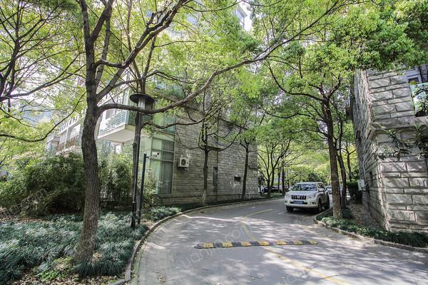 汤臣豪园(一期),南北通,3室2厅,高区景观好