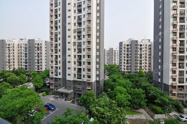 外冈佳苑,上门实勘,光线充足,有爱有家