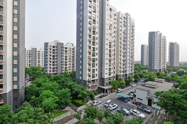 外冈佳苑,上门实勘,光线充足,有爱有家