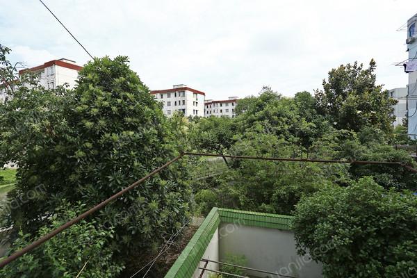 地铁沿线,低区出入方便,中等装修,房本满五年 _乾溪新村二手房推荐