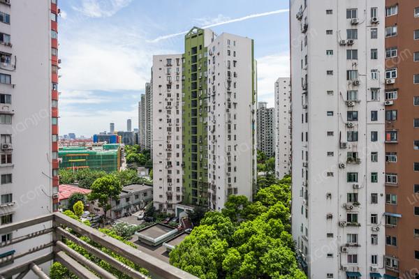 卧室带阳台,卧室全南,交通便利,楼层好 _金谷园二手房推荐-链家网上海