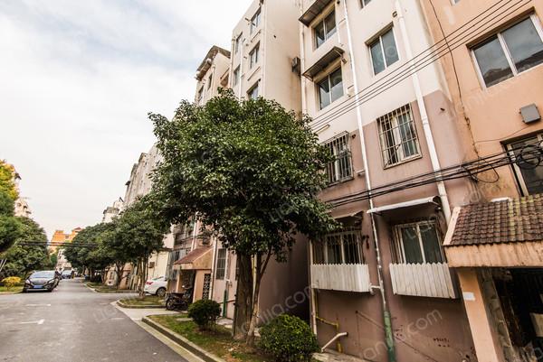 厨卫全明,卧室带阳台,出行方便,低区出入方便 _丹桂花园二手房推荐