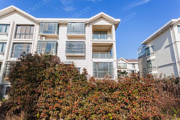 上海租房 奉贤租房 西渡租房 金都雅苑(别墅)小区租房 当前房源