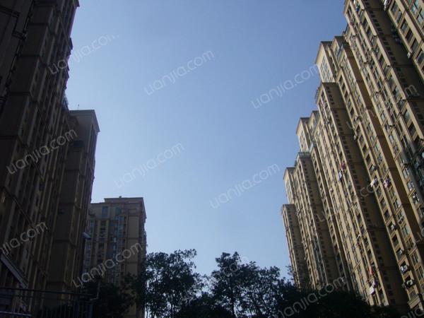 c4377b3d-c091-48a4-ae81-e7d53deaacee.jpg